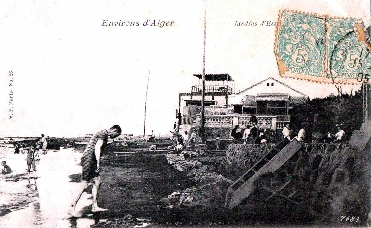 Alger - Jardins d'Essai - Bord de mer - 1905.jpg